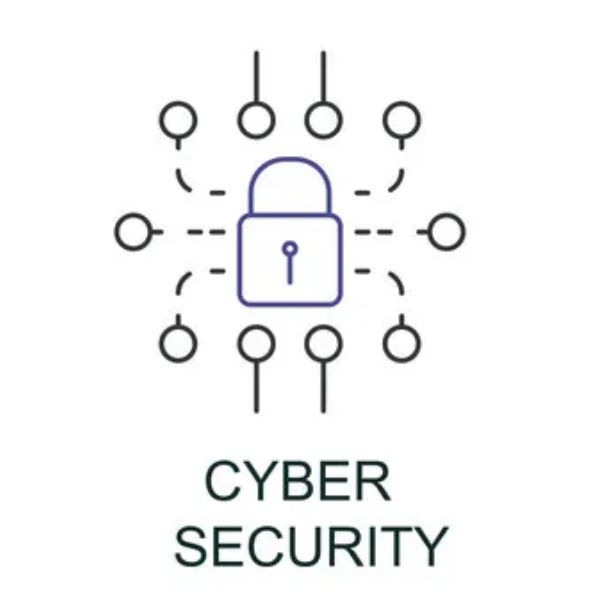 Cyber Security Level 2 Icon